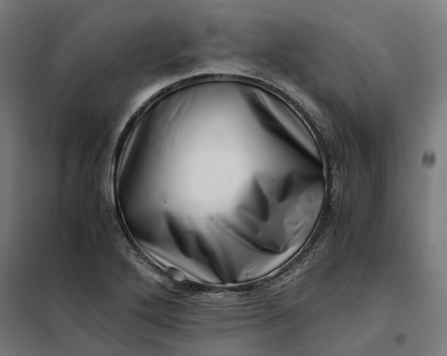 X0000101711272200807241448