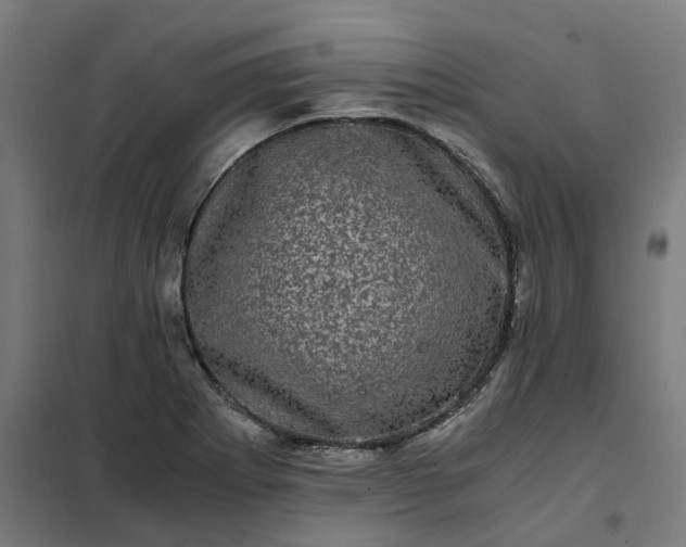 X0000101711273200807241448