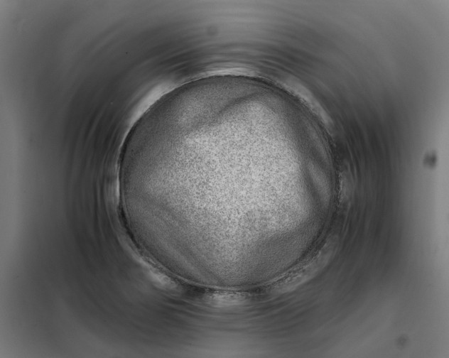 X0000101711274200807241447