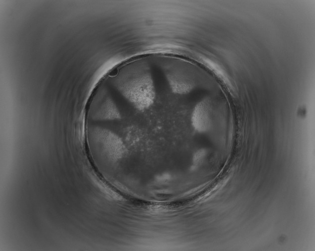 X0000101711275200807241447