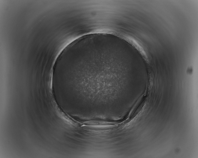 X0000101711276200807241447