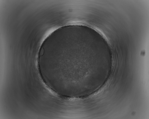 X0000101711277200807241447