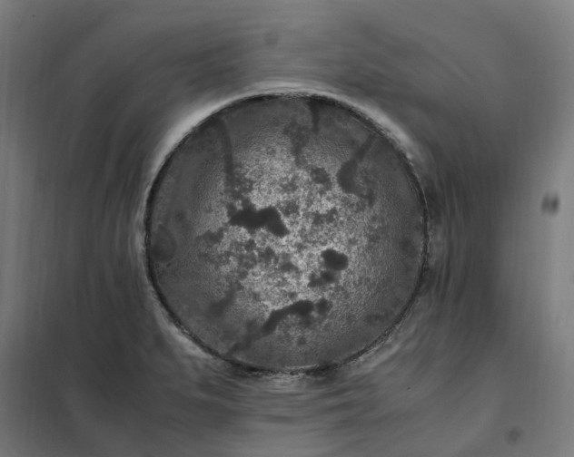 X0000101711279200807241447