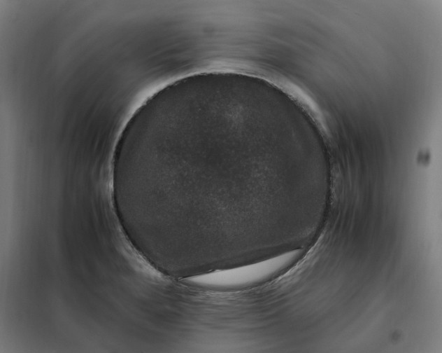 X0000101711280200807241447