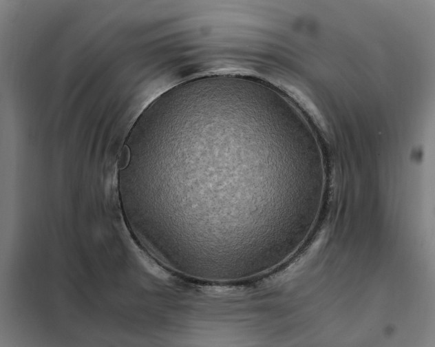 X0000101711281200807241447