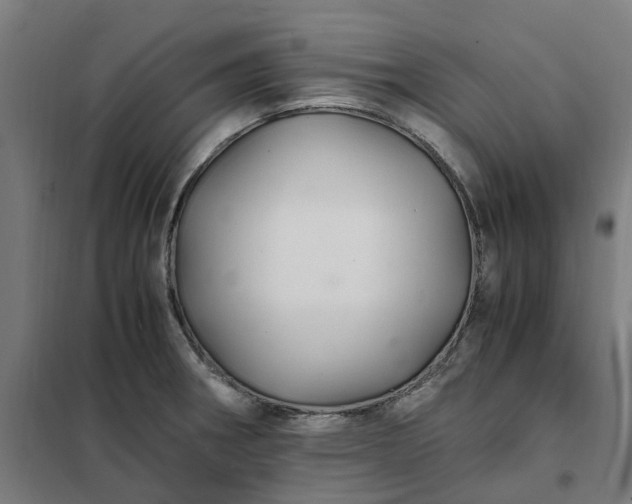 X0000101711282200807241447