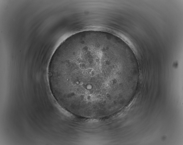 X0000101711283200807241447