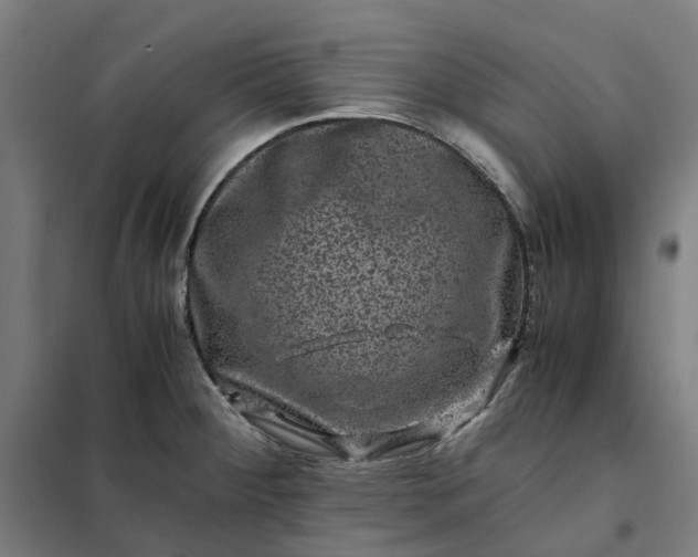 X0000101711284200807241447