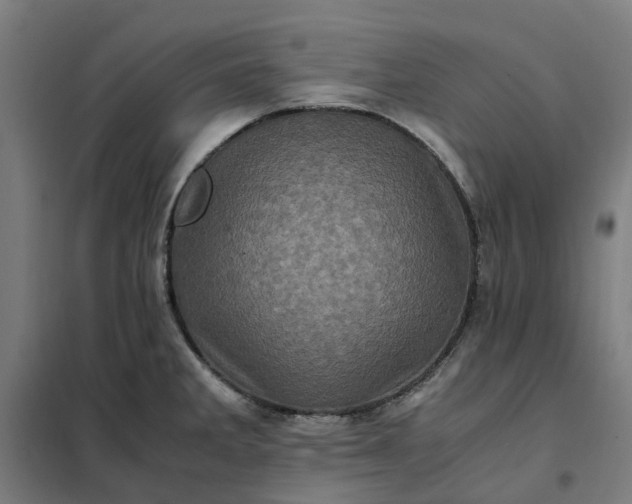 X0000101711285200807241447