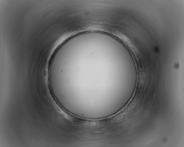 X0000101711286200807241447