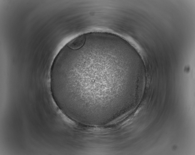 X0000101711287200807241447