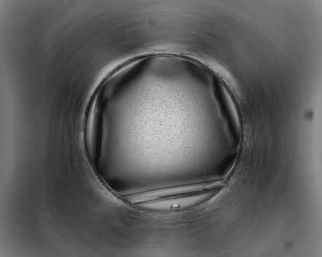 X0000101711288200807241447