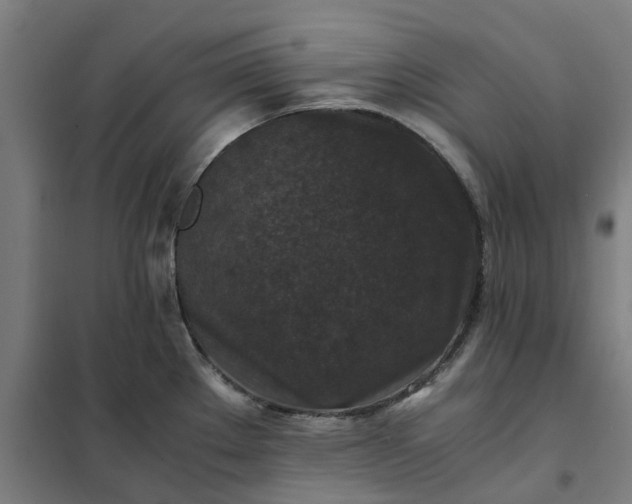 X0000101711289200807241447