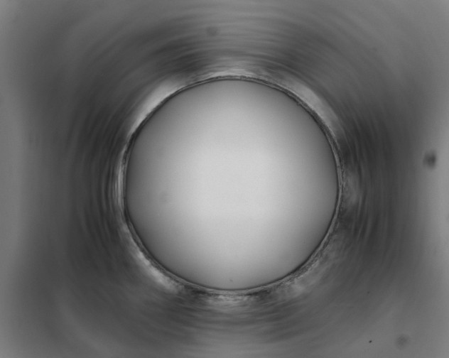 X0000101711290200807241447