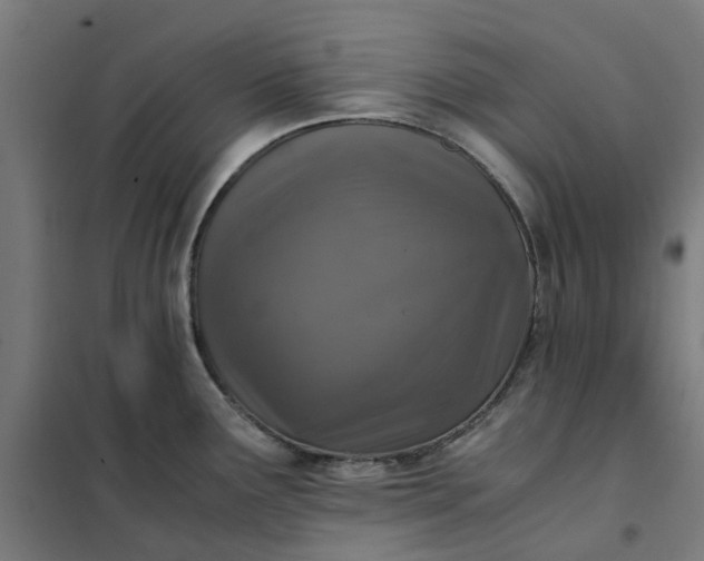 X0000101711291200807241447