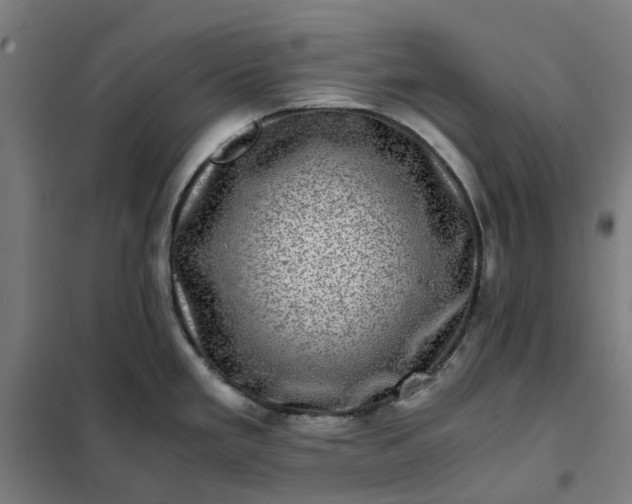 X0000101711293200807241447