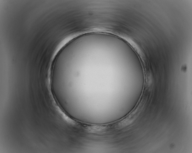 X0000101711294200807241447