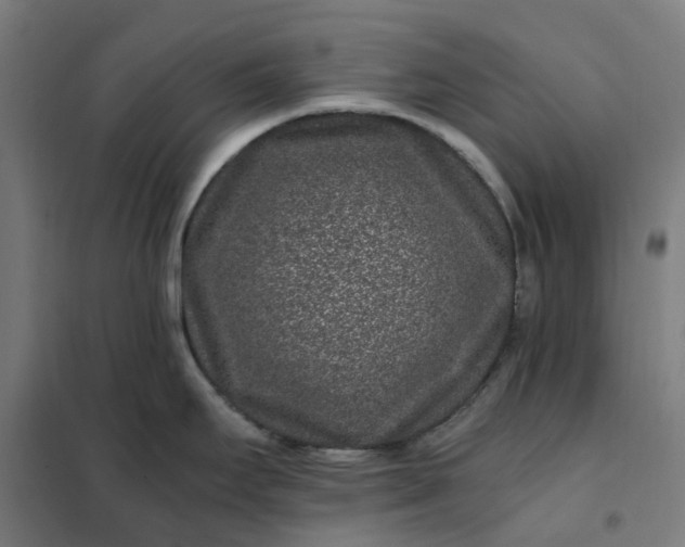 X0000101711295200807241447