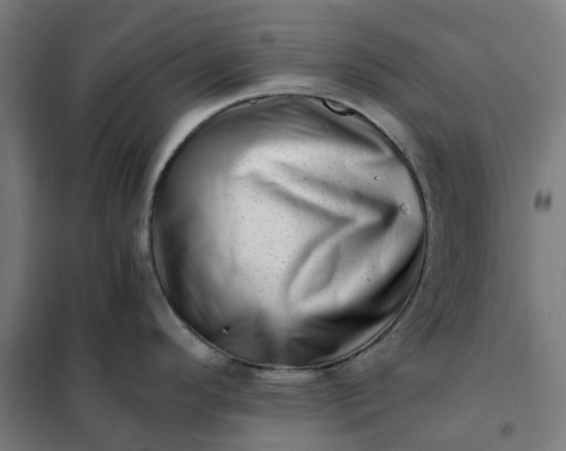 X0000101711296200807241447