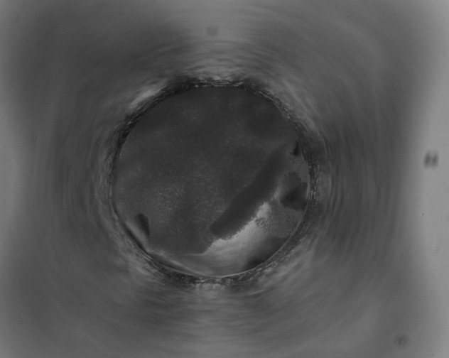 X0000101711297200807241446