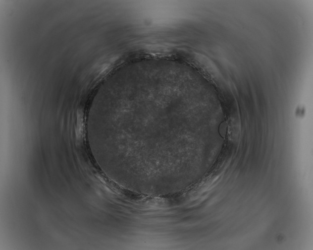 X0000101711298200807241446