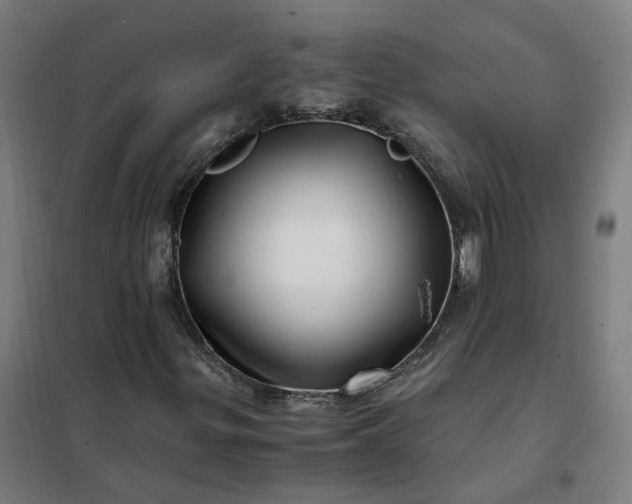 X0000101711299200807241446