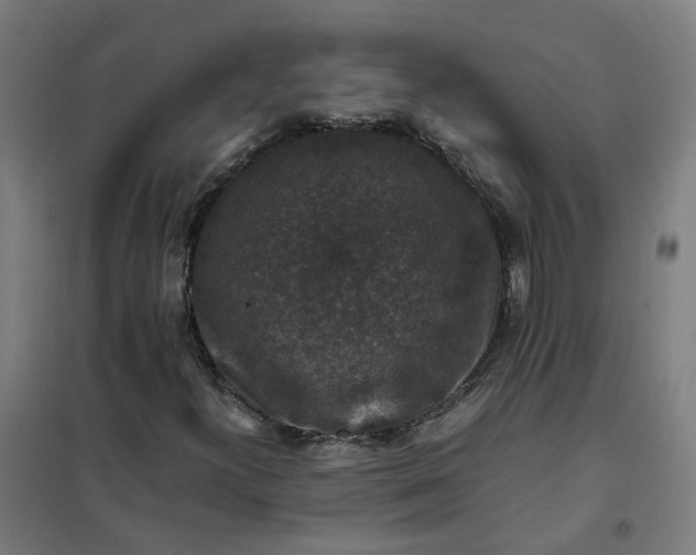 X0000101711300200807241446