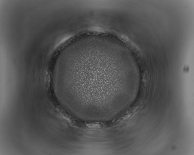 X0000101711302200807241446