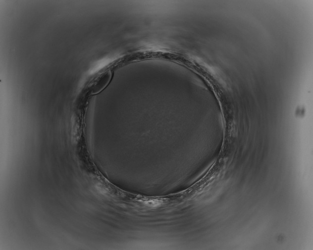 X0000101711303200807241446