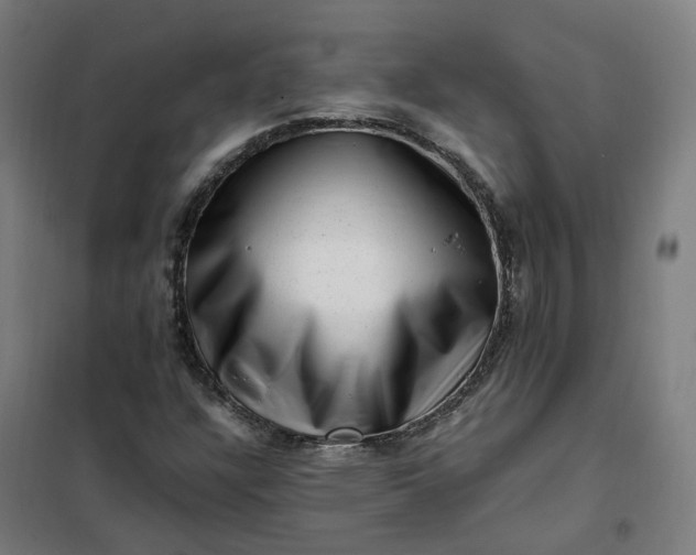 X0000101711304200807241446