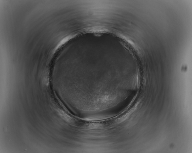 X0000101711306200807241446