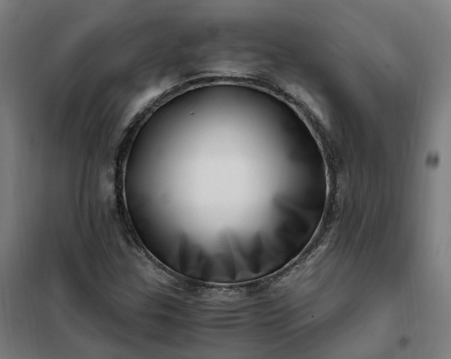 X0000101711307200807241447