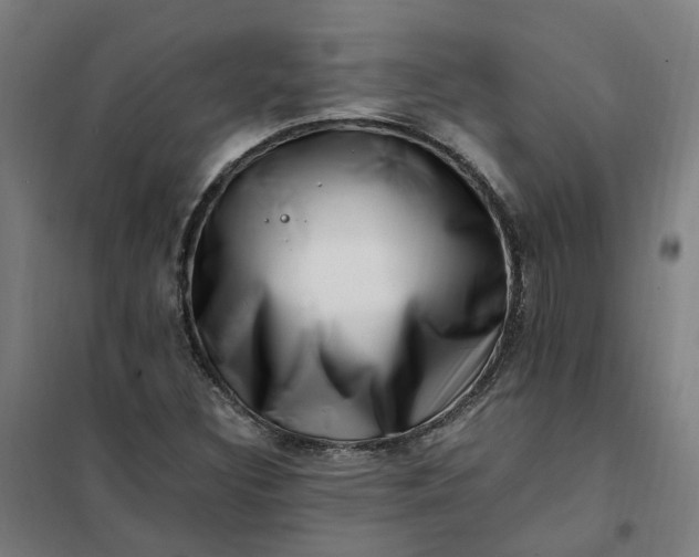 X0000101711308200807241447