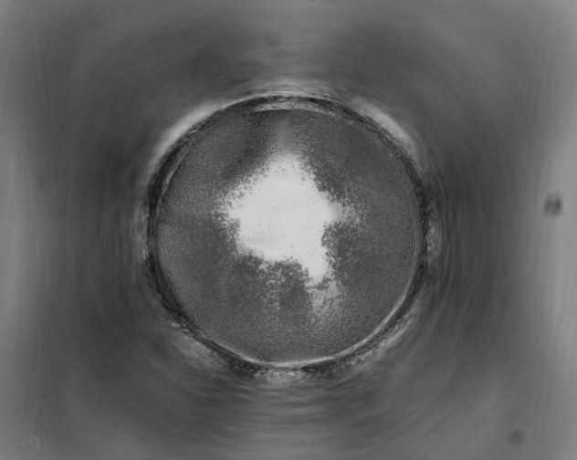 X0000101711310200807241447