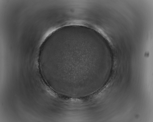 X0000101711312200807241447