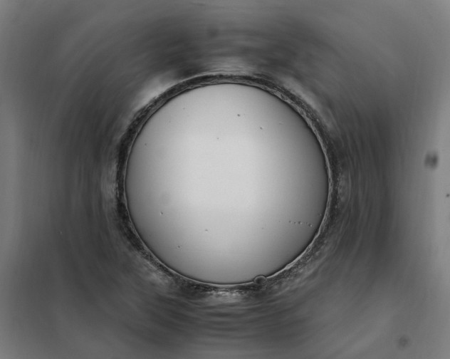 X0000101711315200807241447