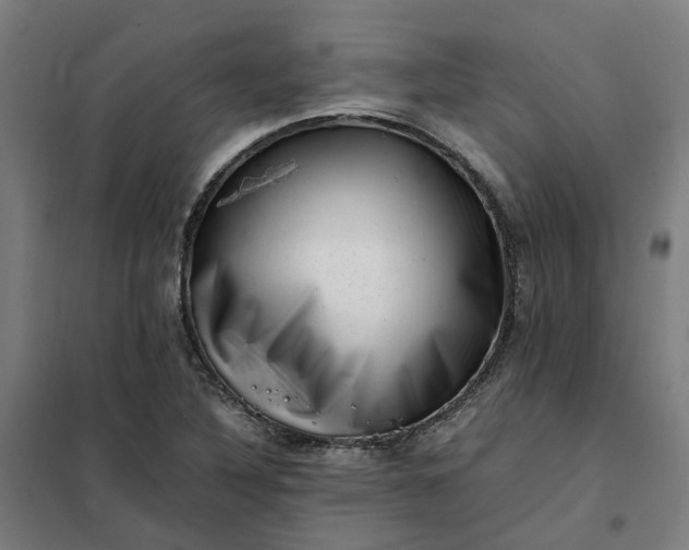 X0000101711316200807241447