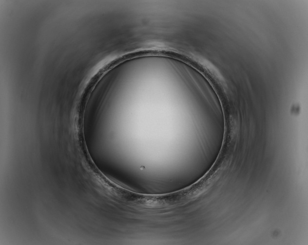 X0000101711318200807241447