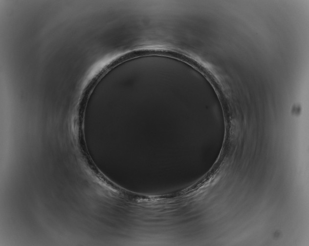 X0000101711319200807241447