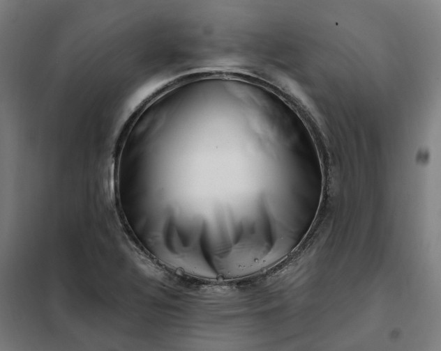 X0000101711320200807241447