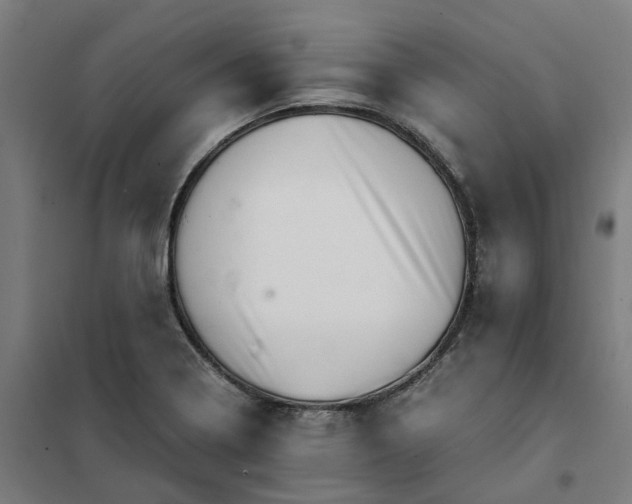 X0000101711322200807241447