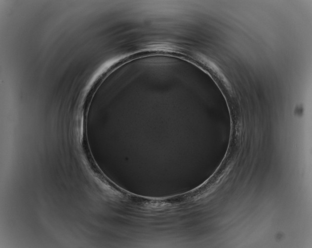 X0000101711323200807241447