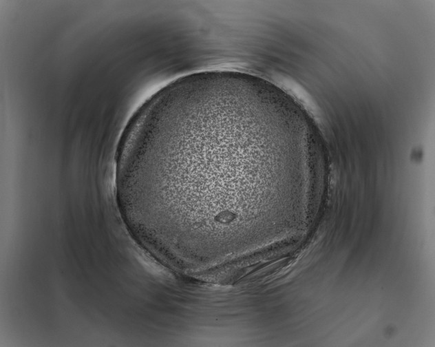 X0000101711324200807241447