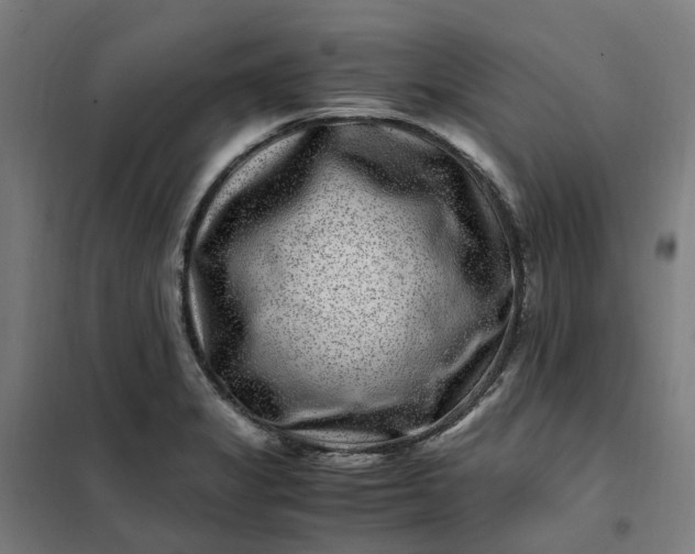 X0000101711325200807241447