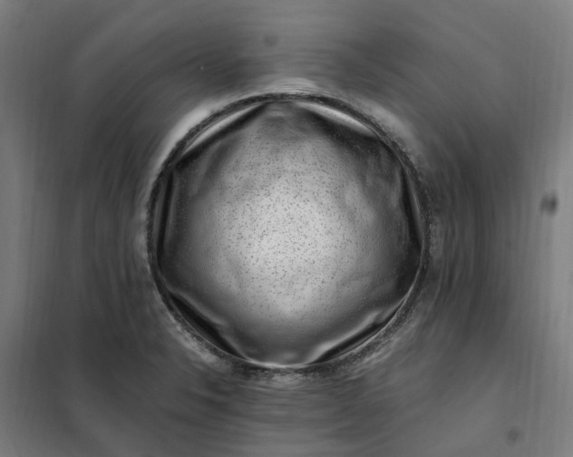 X0000101711326200807241447