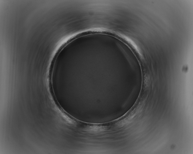 X0000101711327200807241447