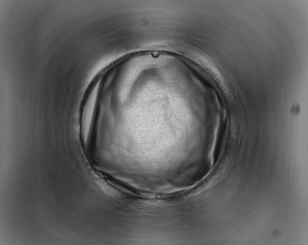 X0000101711328200807241447