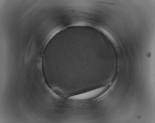 X0000101711329200807241447