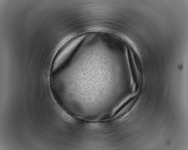 X0000101711330200807241447