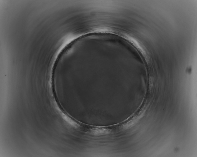 X0000101711331200807241447